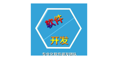 浙江项目软件开发服务,浙江专业app开发公司