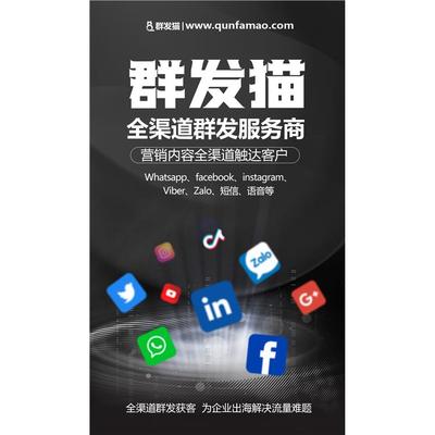 vk软件开发公司,社交软件vk怎么在中国使用