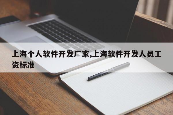 上海个人软件开发厂家,上海软件开发人员工资标准