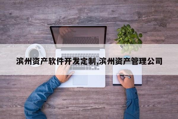 滨州资产软件开发定制,滨州资产管理公司